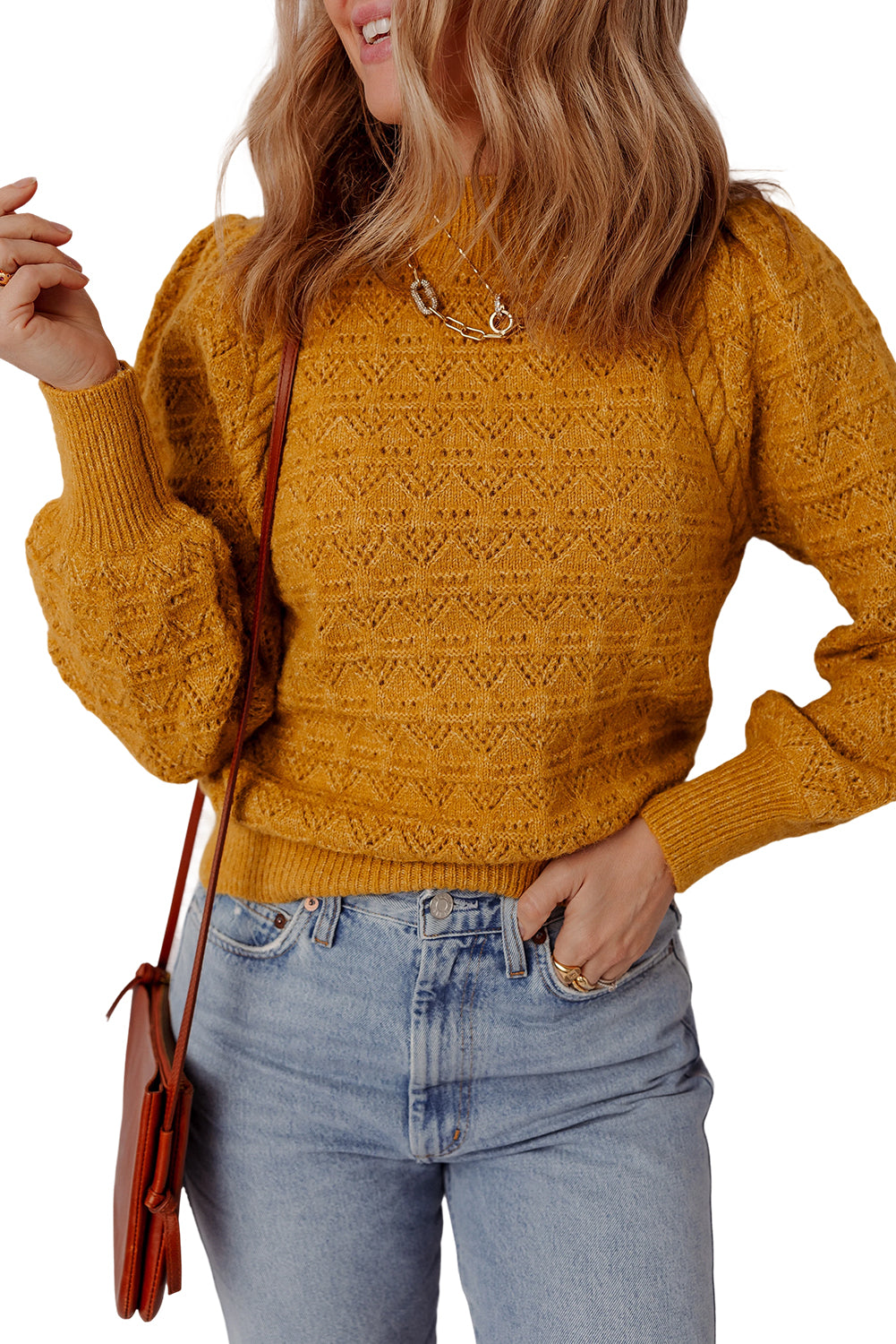 Jurassic Gold Hollow Out Crochet Ribbed Edge Balloon Sleeve Sweater